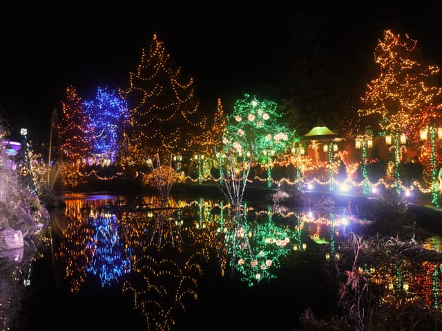 Coloured lights on the trees shimmer across the lake at VanDusen Botanical Garden during the Festival of Lights.