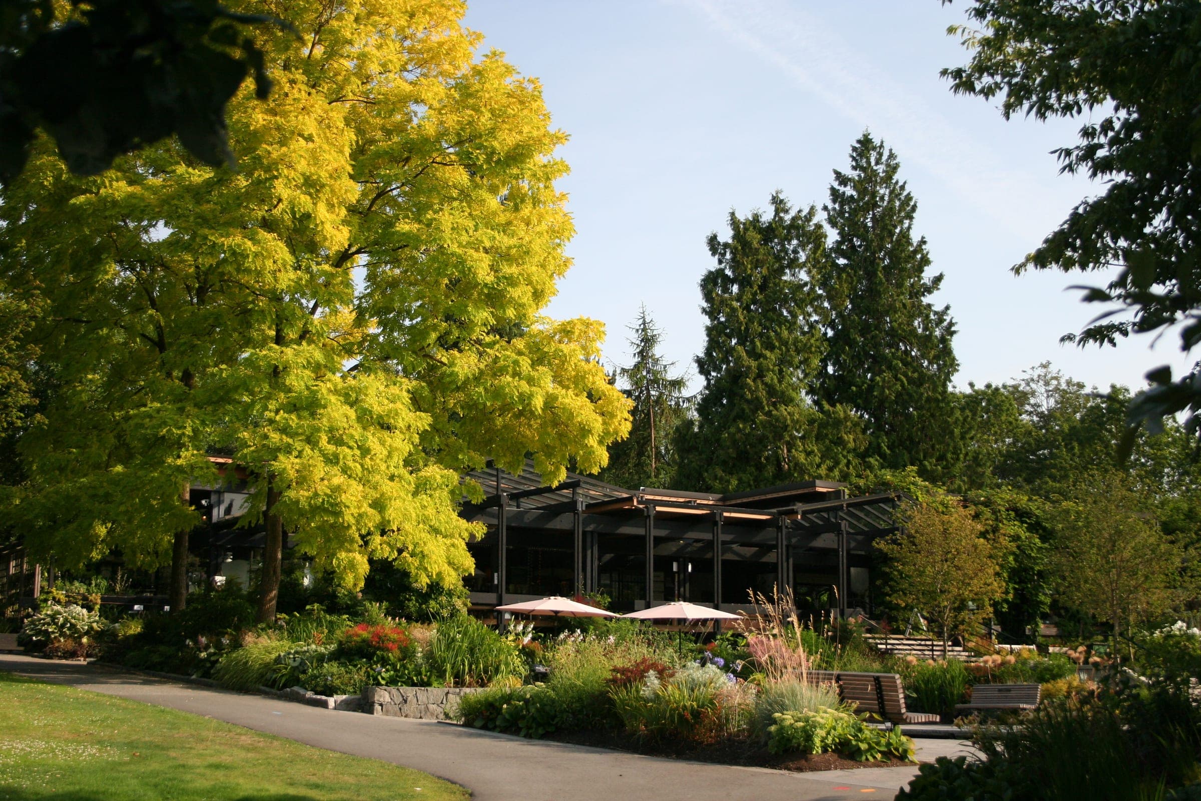 Golden trees and flower beds line the path back to the entrance pavilion at VanDusen Botanical Garden.
