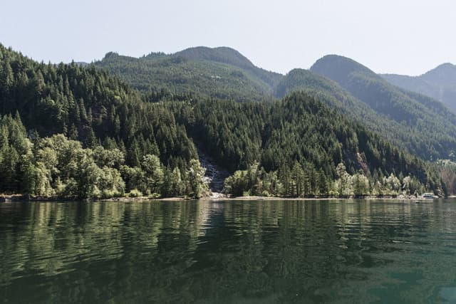 Forested shoreline and mountains across the water of Indian Arm near Granite Falls campground.
