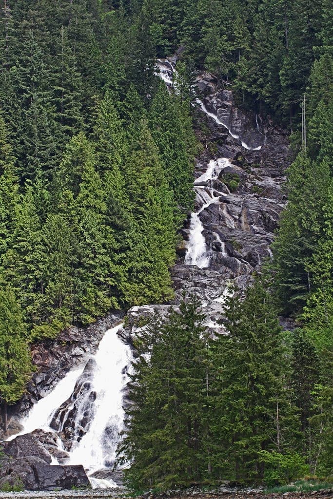 Granite Falls tumbles through dark cedars down the steep shore of Indian Arm beside the campground.