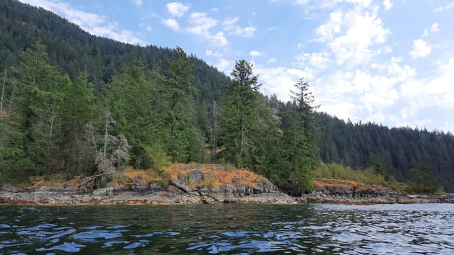 Rocky shore and dense conifers on the Twin Islands in Indian Arm, seen from the water in summer.