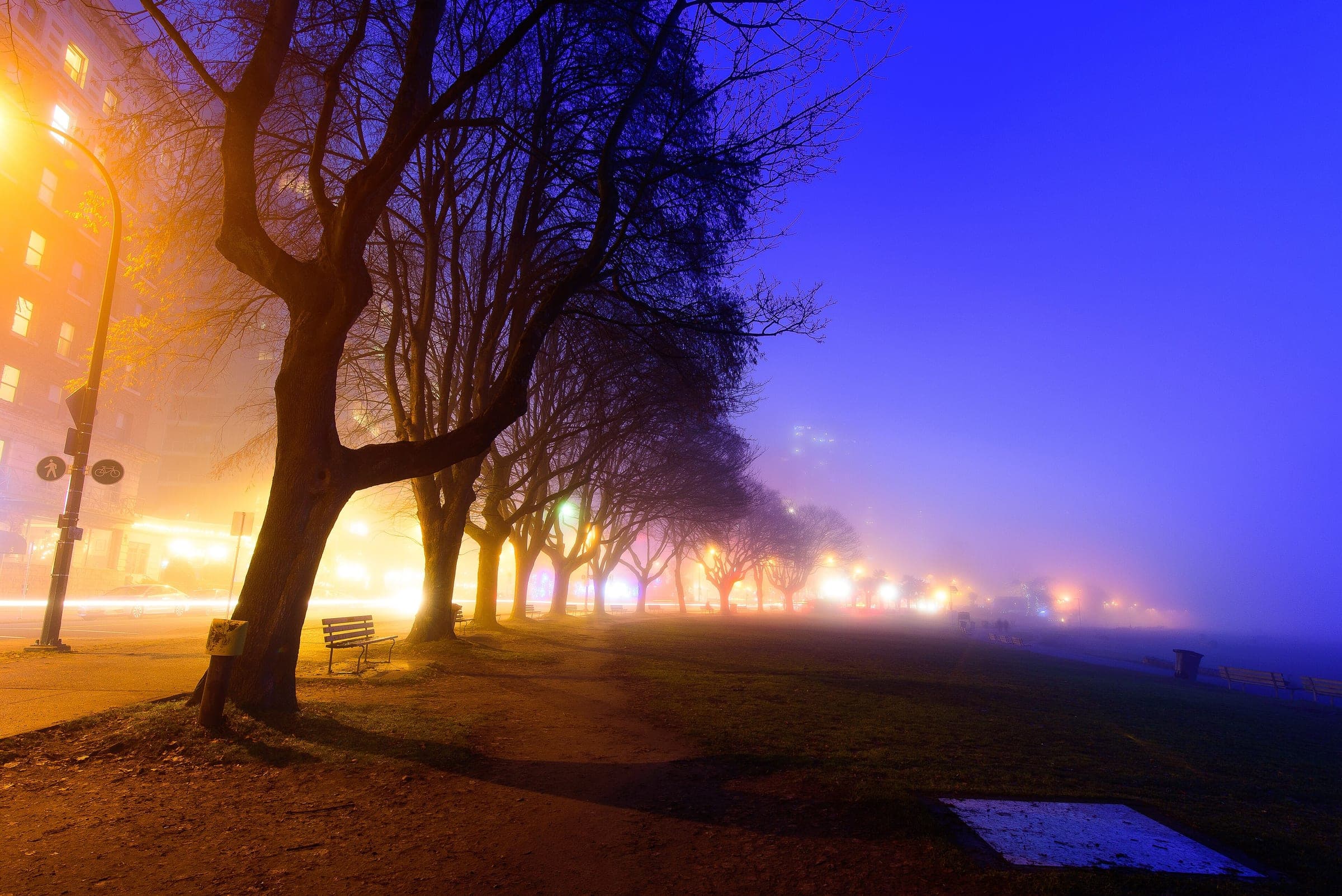Fog glows under the street lamps along Beach Avenue and the English Bay lawn on a December night.