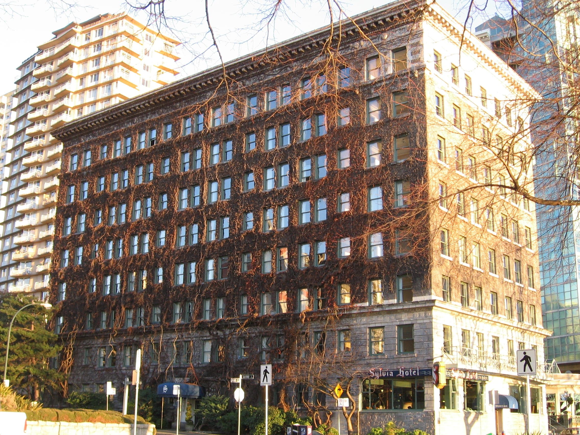 The Sylvia Hotel on Beach Avenue stands in December sun with its winter ivy bare across the brick.