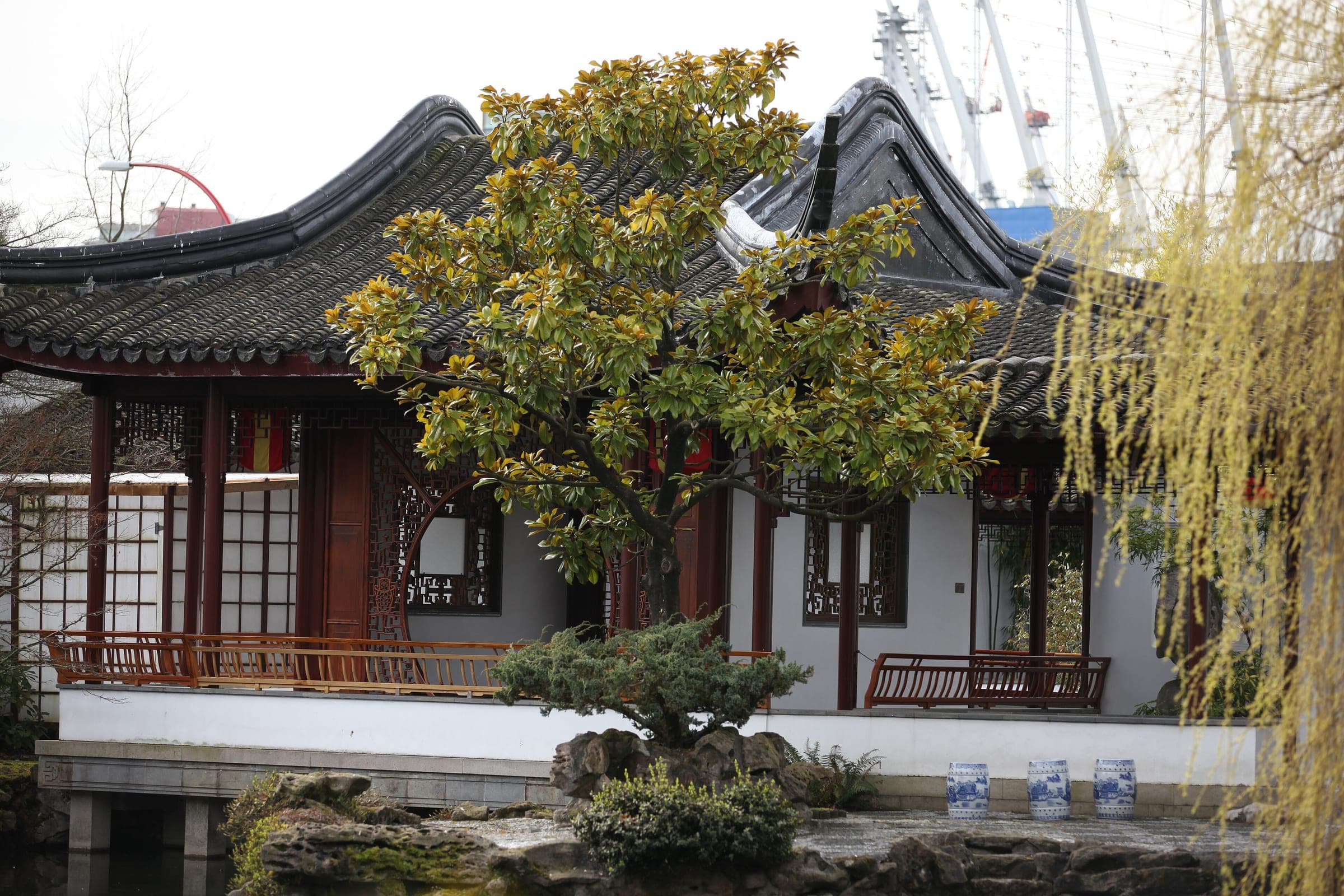 A pavilion with upturned eaves and a willow stand over the pond of the classical Chinese garden in Chinatown.