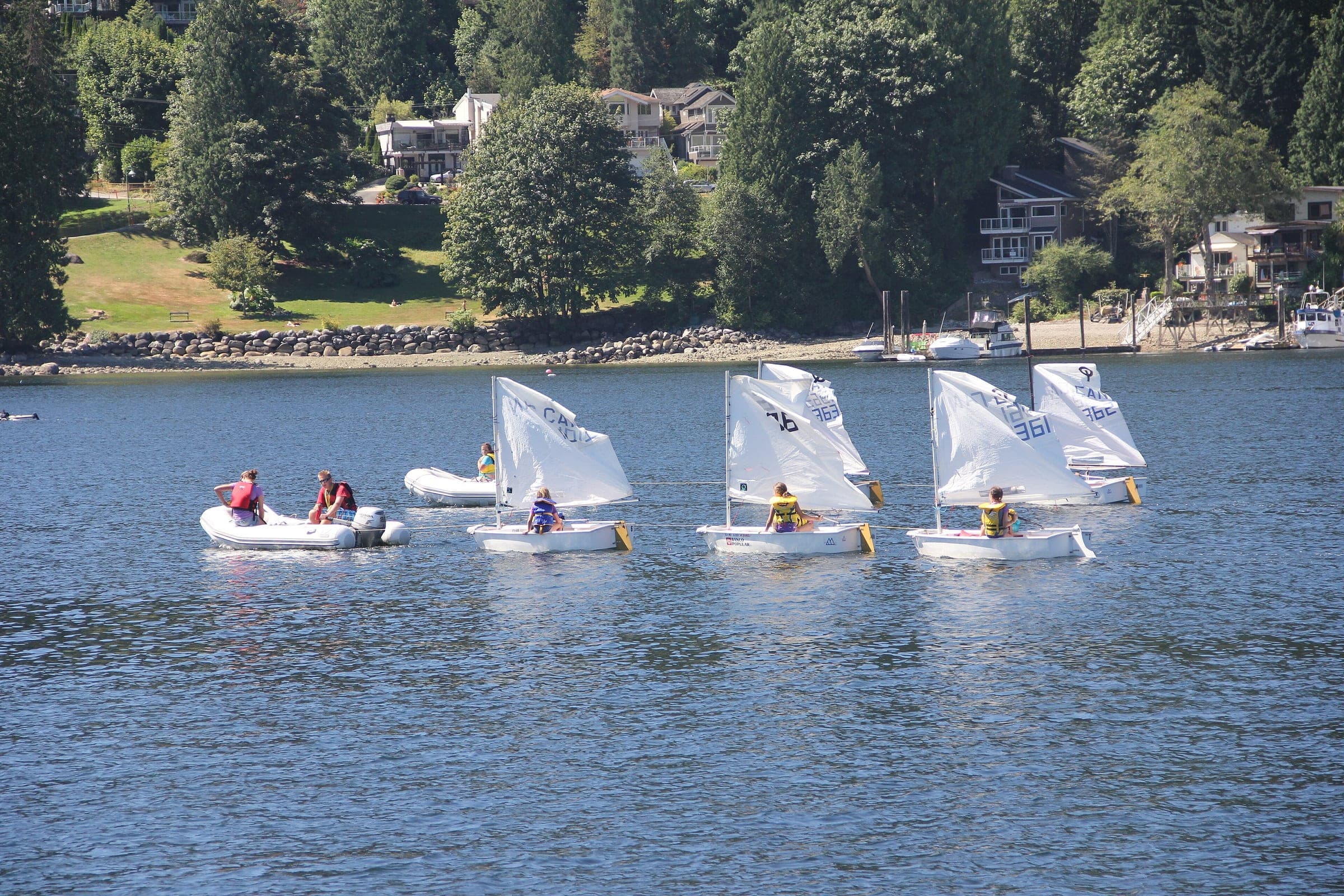 A line of small sailing dinghies with white sails crosses Deep Cove in front of waterfront homes.