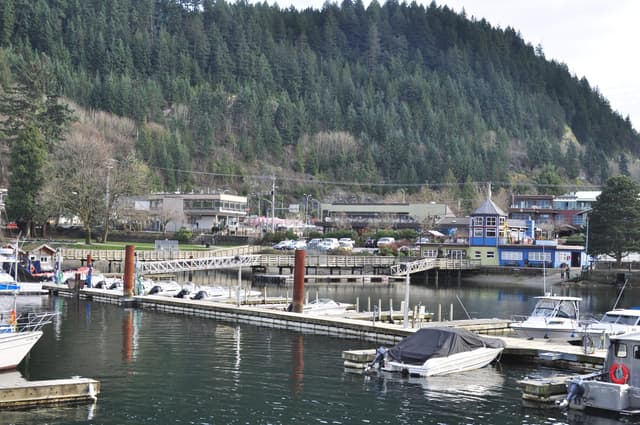 Small boats tie up in the Horseshoe Bay marina in front of the village shops and the forested hillside.