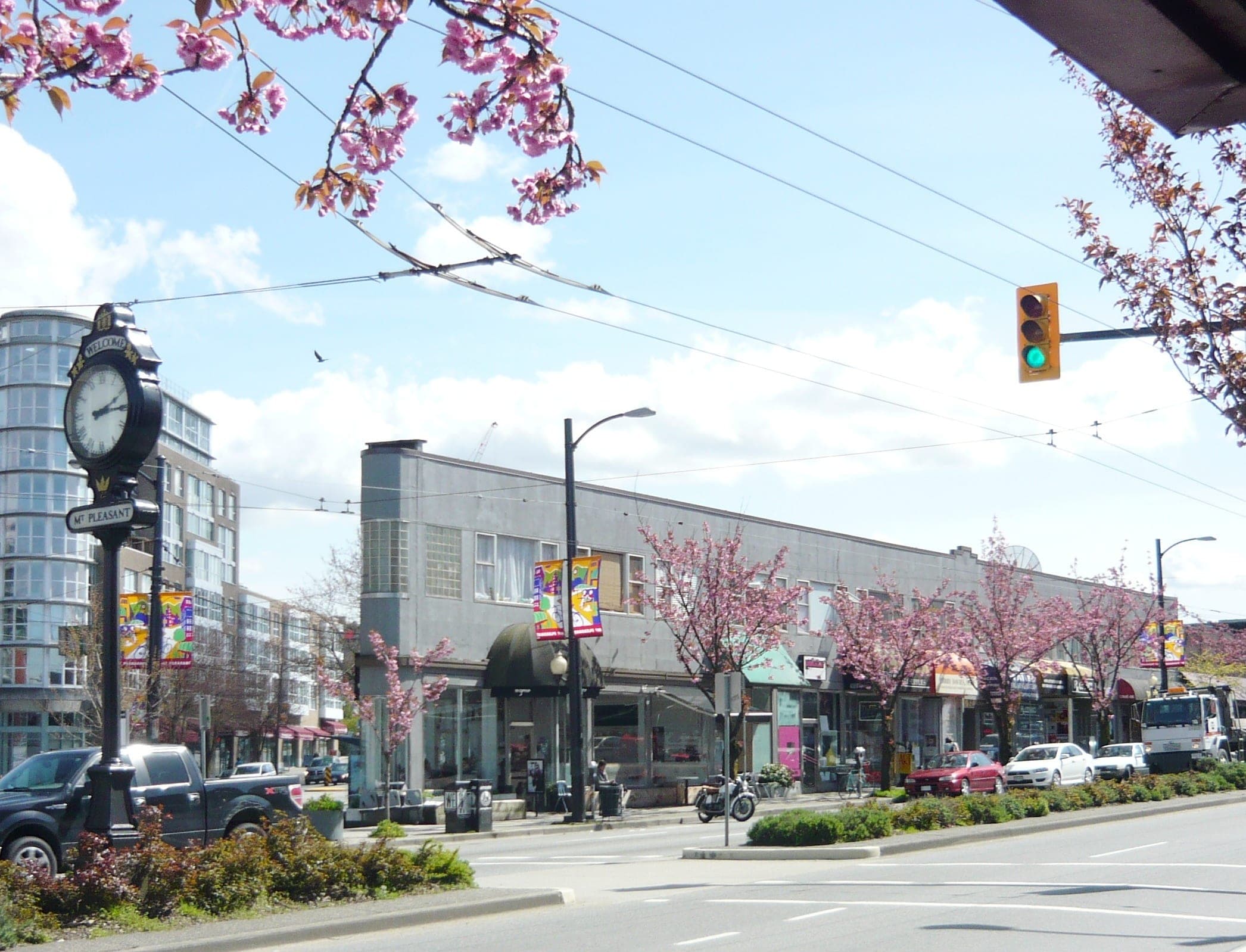Cherry blossoms frame the street clock at Main Street and Broadway in Mount Pleasant in April.