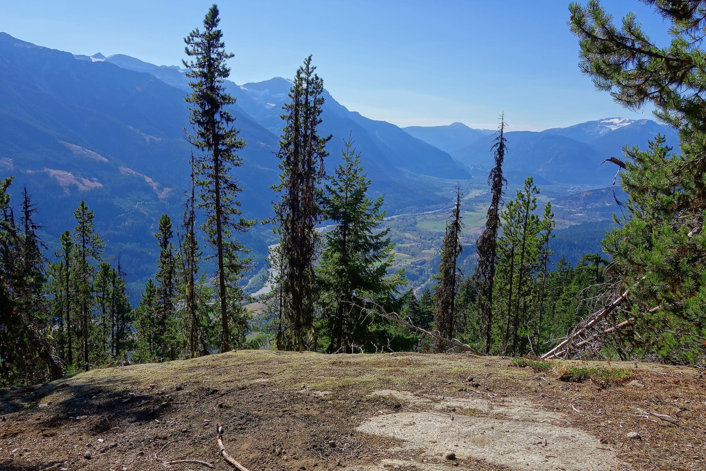 Tall firs frame the Pemberton Valley and its farm fields from the Wild Bill viewpoint above town.