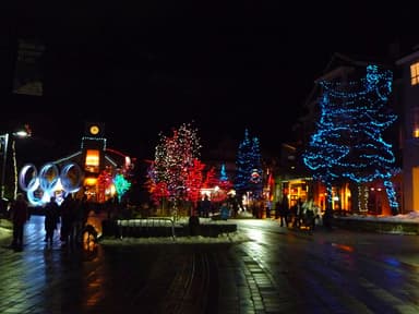 Christmas lights wrap the trees around the Olympic rings on the Whistler Village Stroll on a wet December night. (Whistler Village)