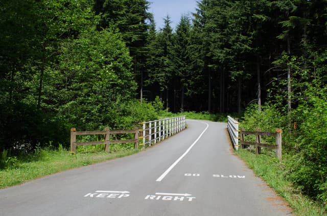 The paved Seymour Valley Trailway crosses a fenced bridge into tall forest in the Lower Seymour Conservation Reserve.