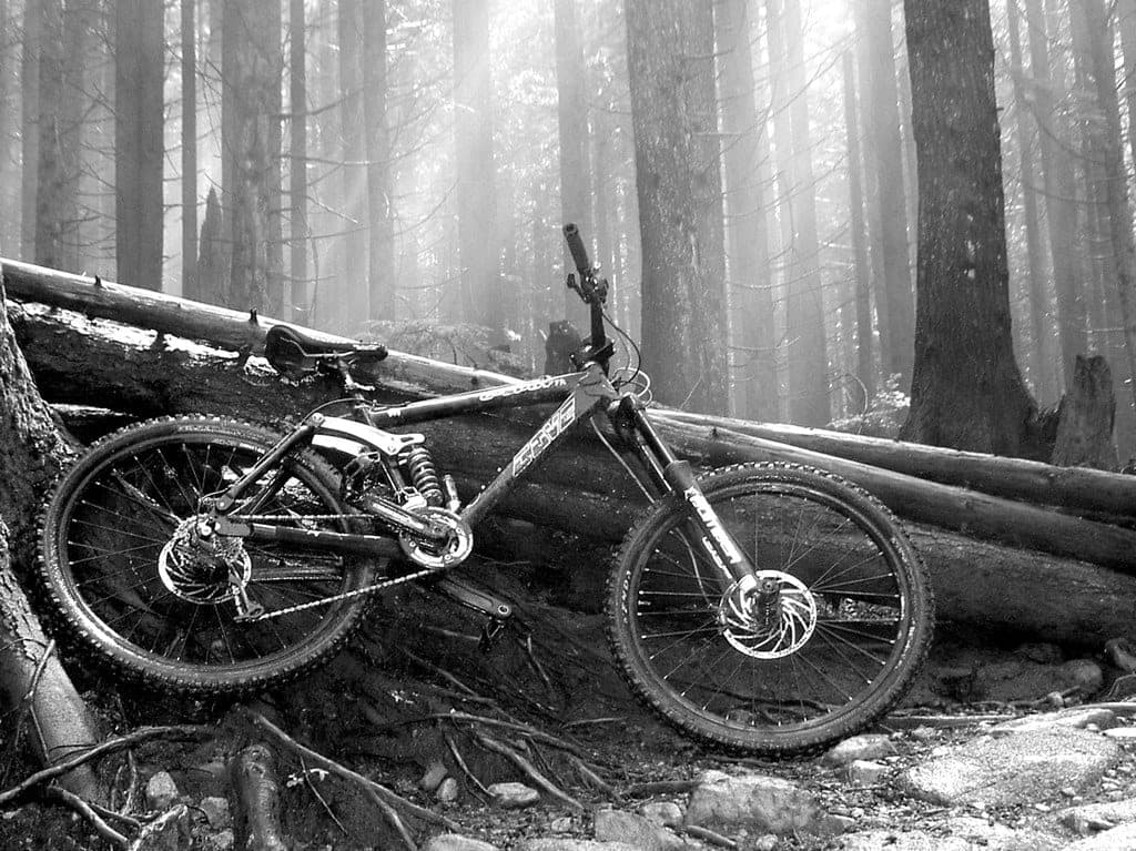 A downhill bike rests against fallen logs in misty forest beside the CBC trail on Mount Seymour.