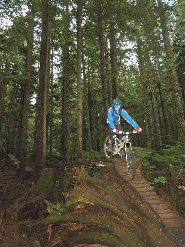 A rider drops off the end of a wooden ramp through tall forest on the CBC trail on Mount Seymour.