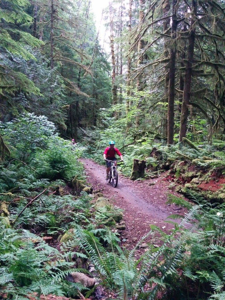 A rider rolls down red-dirt singletrack between ferns and mossy firs in the Alice Lake trails at Squamish.