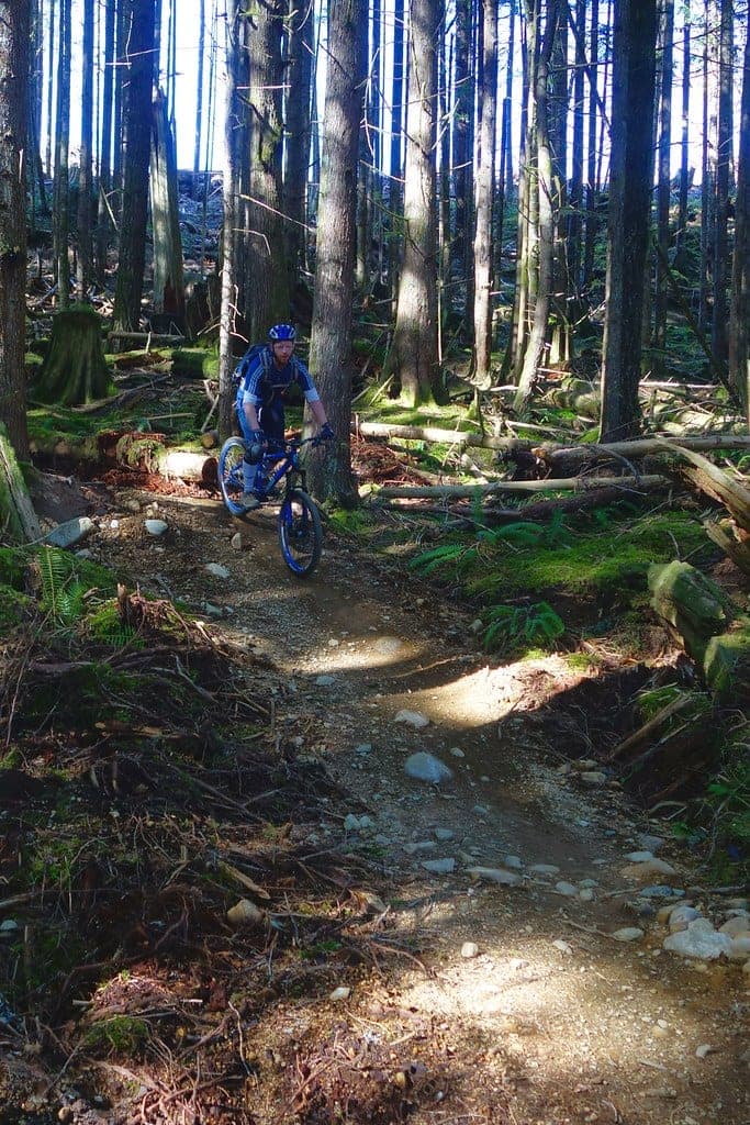 A rider carves through sunlit forest on the Tinder trail above Squamish.