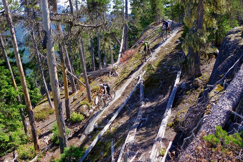 Three riders descend a granite slab between snags on a valley trail on Whistler's west side.