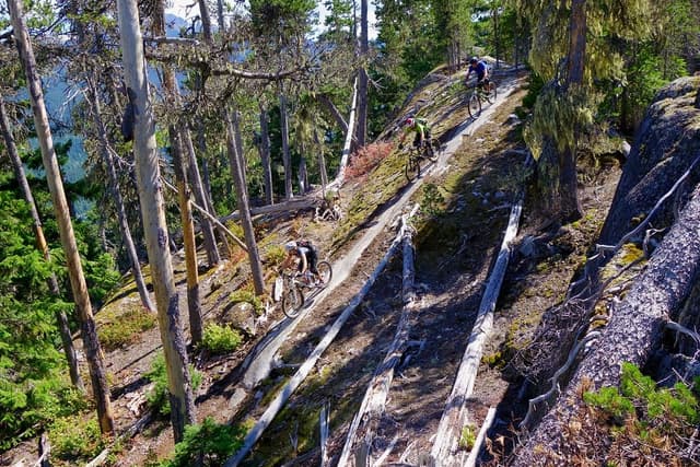 Three riders descend a granite slab between snags on a valley trail on Whistler's west side.