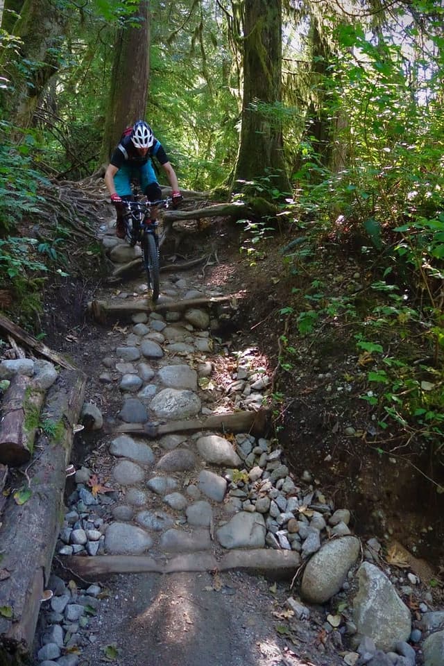 A rider rolls down the stone and timber steps of the Bottle Top trail in the Lower Seymour Conservation Reserve.