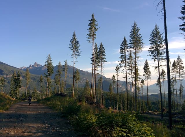 A rider climbs the gravel road toward Half Nelson in evening light with Squamish's peaks behind.